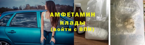 стаф Новоузенск