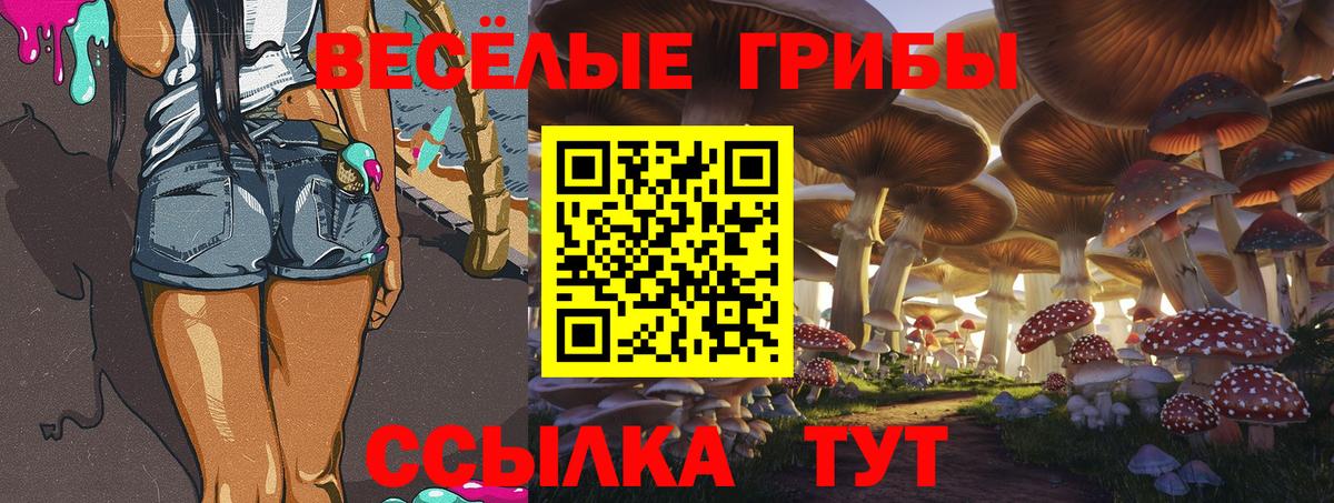 Лянтор  где купить   Вход с VPN  Галлюциногенные грибы MAGIC MUSHROOMS 